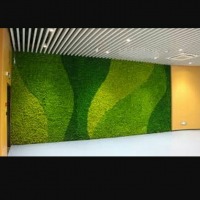 خزه ، خزه تثبیت،دیوارسبز،گرینوال، دیوار خزه ای،
 moss ,mosswall,greenwall